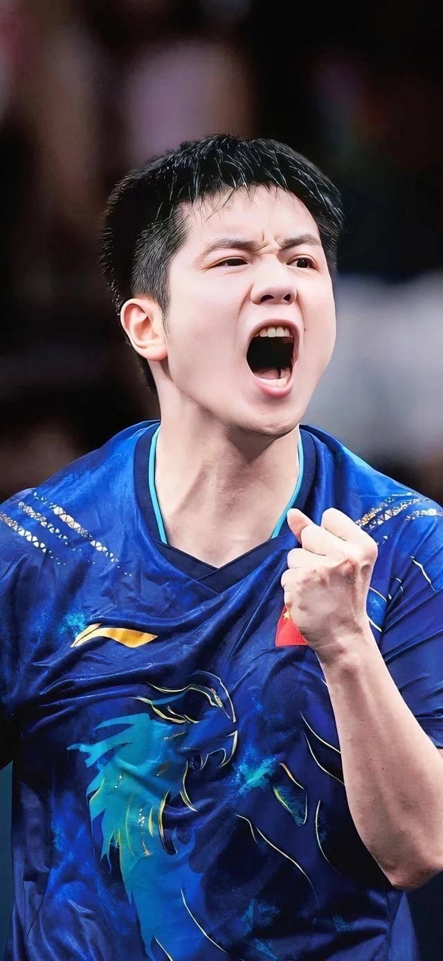 瑞典队力克波兰队,樊振东关键制胜 瑞典队力克波兰队,樊振东关键制胜