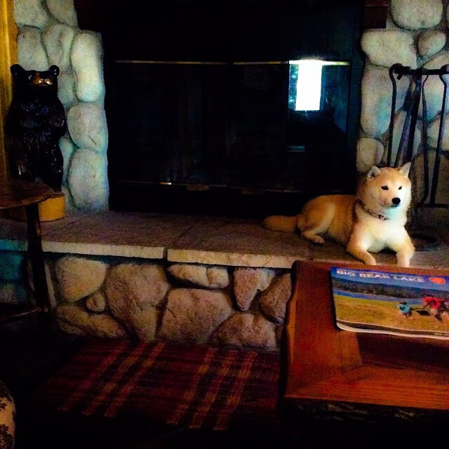 熊猫体育互动-快船对阵太阳，塔图姆进攻端无人可挡