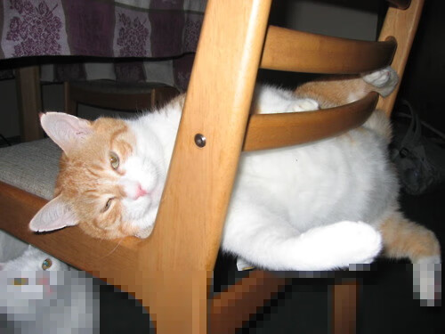 皇家社会强压乌拉圭，法比尼奥大场面先生