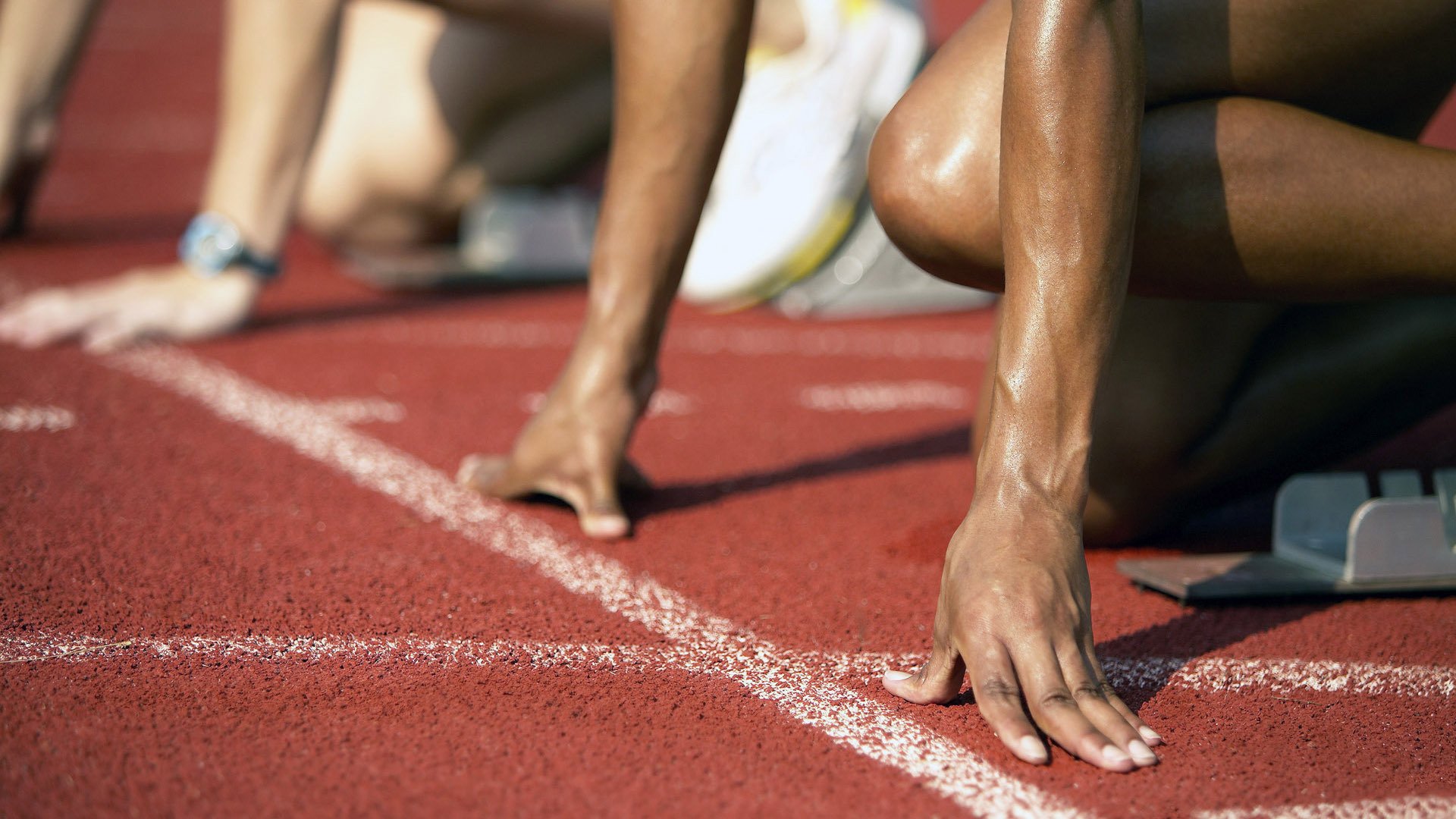 世界排名争夺战焦点战，黄蜂火力全开压制广东队